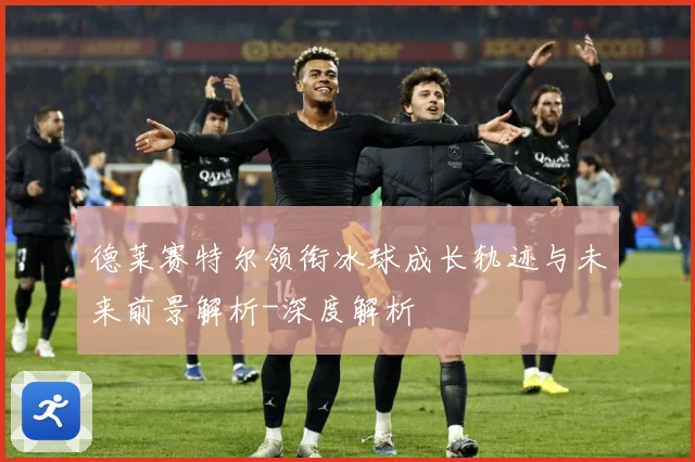 德莱赛特尔领衔冰球成长轨迹与未来前景解析-深度解析